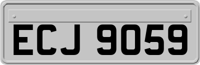 ECJ9059