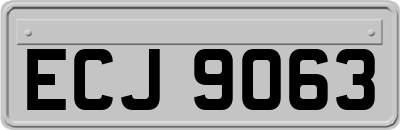 ECJ9063