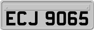 ECJ9065