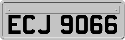 ECJ9066