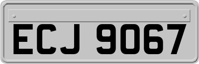 ECJ9067
