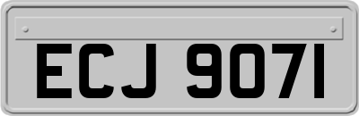 ECJ9071