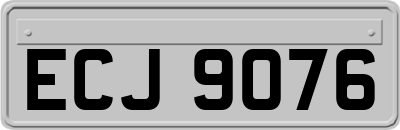 ECJ9076