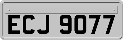 ECJ9077