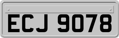 ECJ9078