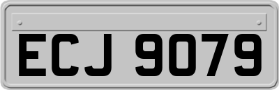 ECJ9079