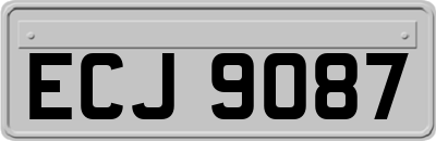 ECJ9087