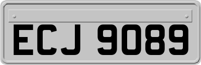 ECJ9089