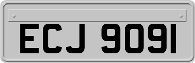 ECJ9091