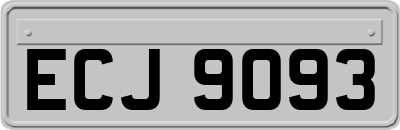 ECJ9093