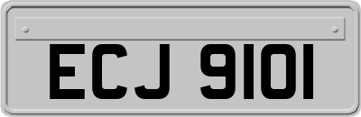 ECJ9101