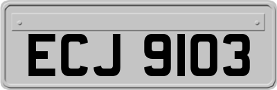 ECJ9103