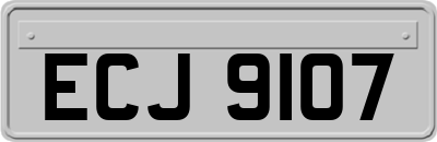 ECJ9107