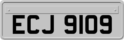ECJ9109