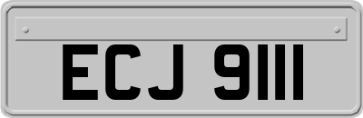 ECJ9111