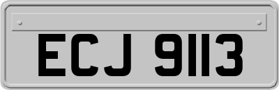 ECJ9113