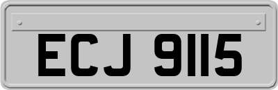ECJ9115