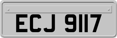 ECJ9117