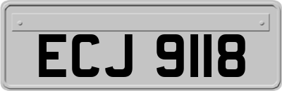 ECJ9118