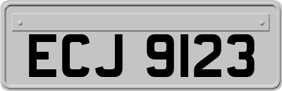 ECJ9123