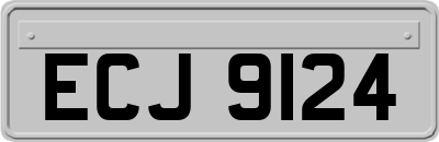 ECJ9124