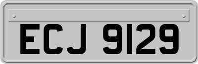 ECJ9129