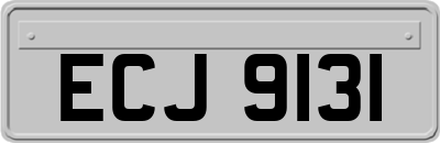 ECJ9131