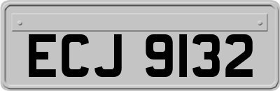 ECJ9132