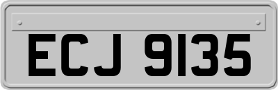 ECJ9135
