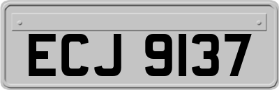 ECJ9137