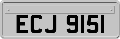 ECJ9151