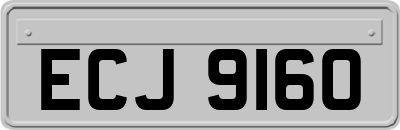 ECJ9160