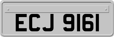 ECJ9161