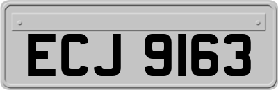 ECJ9163