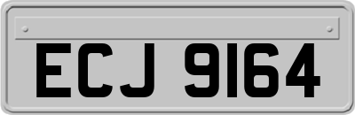 ECJ9164