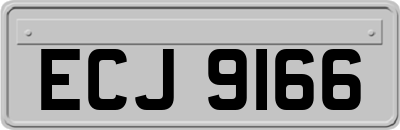 ECJ9166