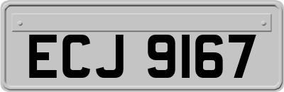 ECJ9167