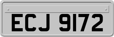 ECJ9172