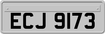 ECJ9173