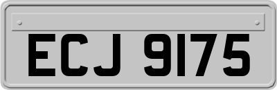 ECJ9175
