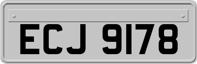 ECJ9178