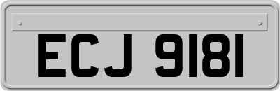 ECJ9181
