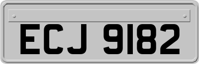 ECJ9182