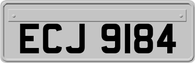 ECJ9184