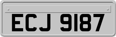 ECJ9187