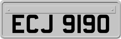 ECJ9190