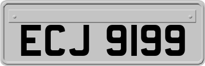 ECJ9199