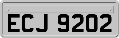 ECJ9202