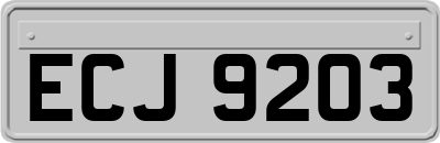 ECJ9203