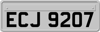 ECJ9207